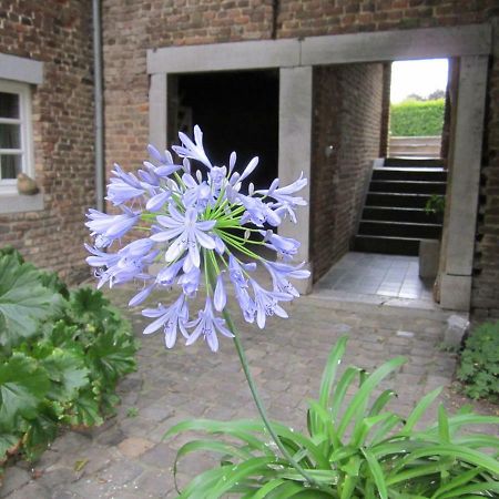 Lisa'S Weelde Guest House Tongeren Exterior photo